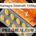 Kamagra Sildenafil 100Mg new05